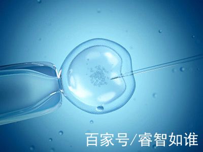 李晴阳院长